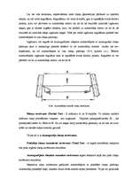 Referāts 'Riteņu ģeometrija', 7.