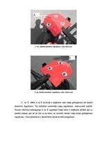 Referāts 'Riteņu ģeometrija', 20.