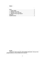 Referāts 'Strēlnieki A.Grīna romānā "Dvēseļu putenis"', 2.