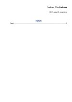 Referāts 'Uzņēmuma "Tele2" stratēģijas un vadīšanas sistēmas izpēte', 2.