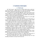 Referāts 'Uzņēmuma "Tele2" stratēģijas un vadīšanas sistēmas izpēte', 3.