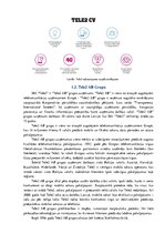 Referāts 'Uzņēmuma "Tele2" stratēģijas un vadīšanas sistēmas izpēte', 4.