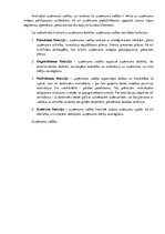 Referāts 'Uzņēmuma "Tele2" stratēģijas un vadīšanas sistēmas izpēte', 17.