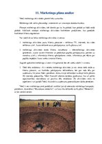 Referāts 'Uzņēmuma "Tele2" stratēģijas un vadīšanas sistēmas izpēte', 25.