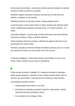 Konspekts 'Domāšana, runa, iztēle, uzmanība', 8.