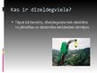 Prezentācija 'Dīzeļdegviela', 2.