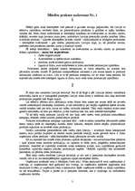 Prakses atskaite 'Mācību prakse tirgzinībās', 3.