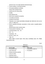 Referāts 'Finanšu analīze un izvērtējums medicīnas uzņēmumam - privātklīnikai', 22.