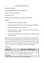 Konspekts 'Konspekts vizuālajā mākslā', 1.