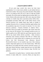 Referāts 'Skaņu kartes', 4.