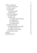 Diplomdarbs 'Jaunas preces sagatavošana ieviešanai tirgū', 6.