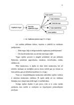 Diplomdarbs 'Jaunas preces sagatavošana ieviešanai tirgū', 19.