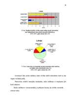 Diplomdarbs 'Jaunas preces sagatavošana ieviešanai tirgū', 58.