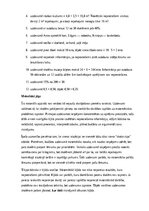 Paraugs 'Matemātika – skaitļošana, loģika un praktiskie uzdevumi', 20.