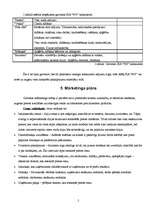 Biznesa plāns 'SIA "900"', 5.