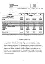 Biznesa plāns 'SIA "900"', 8.