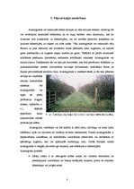 Referāts 'Vēja erozija', 10.