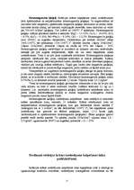 Referāts 'Rotācijas krāsns portlandcementa iegūšanai', 11.