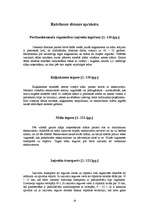 Referāts 'Rotācijas krāsns portlandcementa iegūšanai', 16.