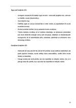 Referāts 'Latvijas muita pirms un pēc iestāšanās Eiropas Savienībā', 19.