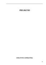 Referāts 'Latvijas muita pirms un pēc iestāšanās Eiropas Savienībā', 20.