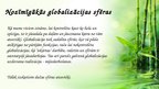 Prezentācija 'Globalizācija', 6.