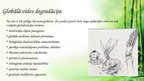 Prezentācija 'Globalizācija', 17.