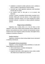 Referāts 'Koģenerācija', 3.