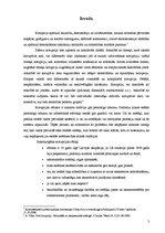 Referāts 'Nedaudz par korupciju', 3.