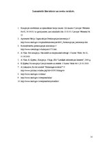 Referāts 'Nedaudz par korupciju', 14.