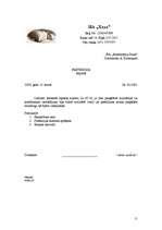 Referāts 'Lietvedības dokumentu sagatavošana', 11.