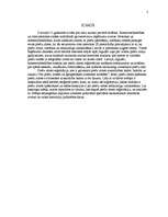 Referāts 'Preču zīme', 2.