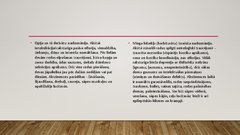 Prezentācija 'Alkoholisms, narkomānija, toksikomānija', 11.