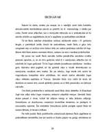 Referāts 'Reiki filosofija', 33.