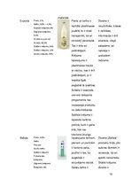 Referāts 'Tukuma piena kombināta "Baltais" produktu dizains un iepakojums, tā uzlabošanas ', 18.