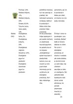 Referāts 'Tukuma piena kombināta "Baltais" produktu dizains un iepakojums, tā uzlabošanas ', 20.