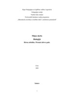 Konspekts 'Bērna attīstība. Pirmais dzīves gads', 1.