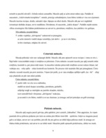 Konspekts 'Bērna attīstība. Pirmais dzīves gads', 4.