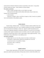 Konspekts 'Bērna attīstība. Pirmais dzīves gads', 5.