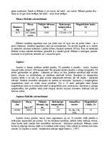 Referāts 'Zeme, Saule un citas planētas', 10.