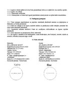 Paraugs 'Ārējās tirdzniecības kontrakts par gumijas apavu pārdošanu', 6.