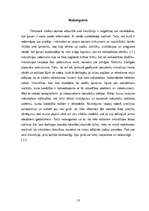 Referāts 'Inkvizīcija viduslaikos. Ķeceri un raganas', 13.