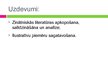 Prezentācija 'Žargona un slenga loma saskarsmē', 3.