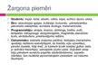 Prezentācija 'Žargona un slenga loma saskarsmē', 10.