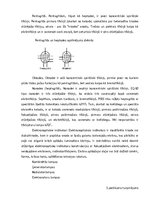 Referāts 'Gaismas avotu salīdzināšana', 26.