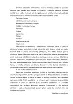 Referāts 'Gaismas avotu salīdzināšana', 27.