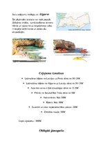 Prezentācija 'Ceļojums uz Portugāli', 5.