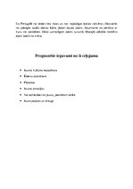 Prezentācija 'Ceļojums uz Portugāli', 7.