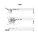 Referāts 'Ilzes Freimanes romāns "Viršu medus"', 2.