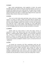 Referāts 'Ilzes Freimanes romāns "Viršu medus"', 7.